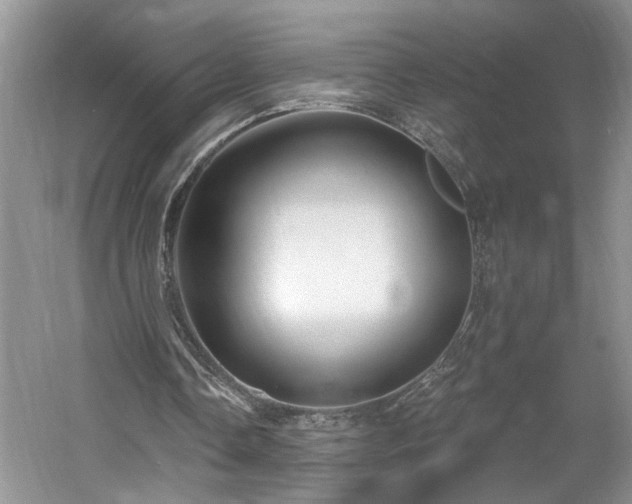 X0000061750338200512021517
