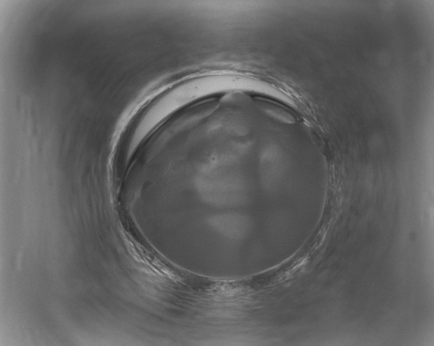 X0000061750343200512021517