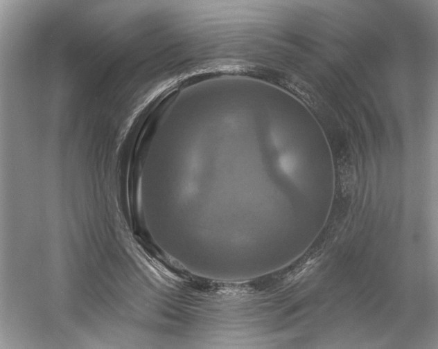 X0000061750350200512021517