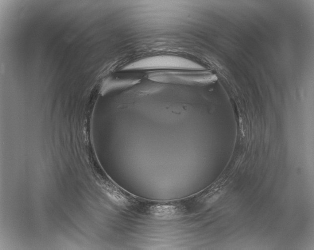 X0000061750361200512021518