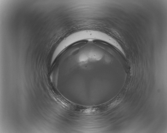 X0000061750366200512021518