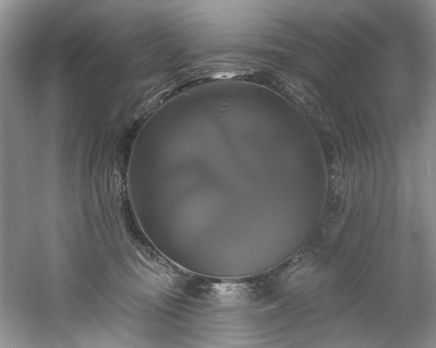 X0000061750371200512021518