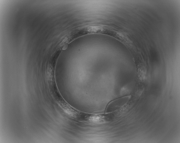 X0000061750375200512021518