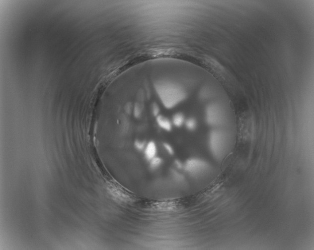 X0000061750377200512021518