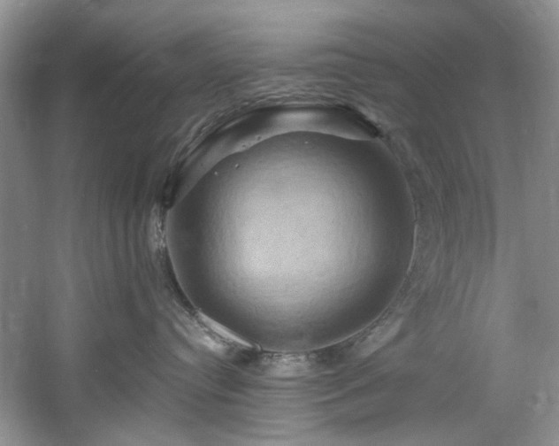 X0000061750384200512021518
