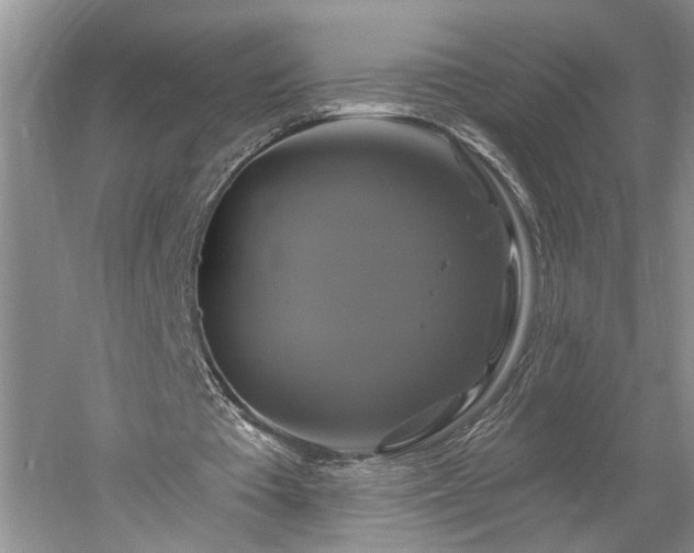 X0000061750385200512021517
