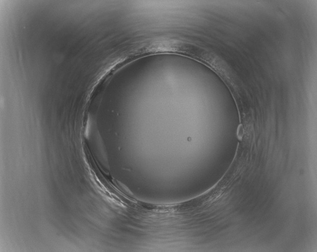 X0000061750386200512021517