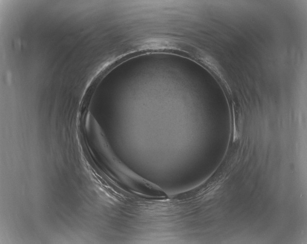 X0000061750387200512021517