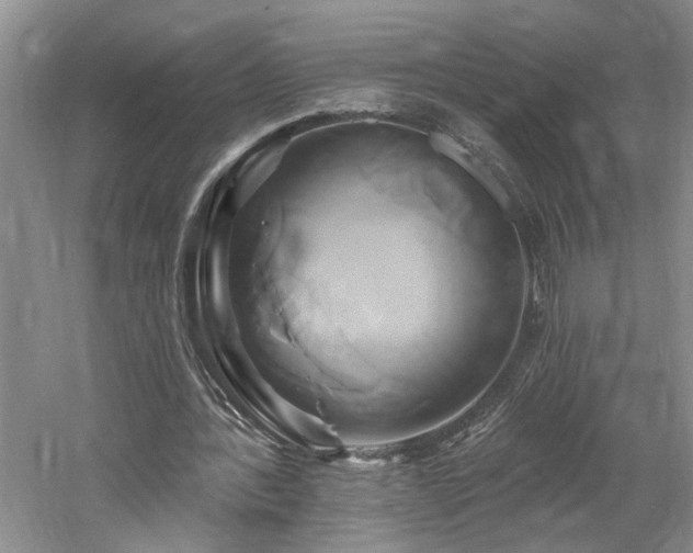 X0000061750388200512021517
