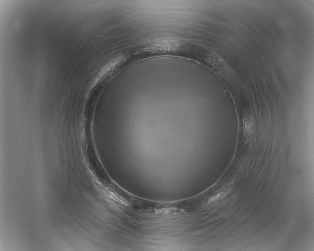 X0000061750396200512021517