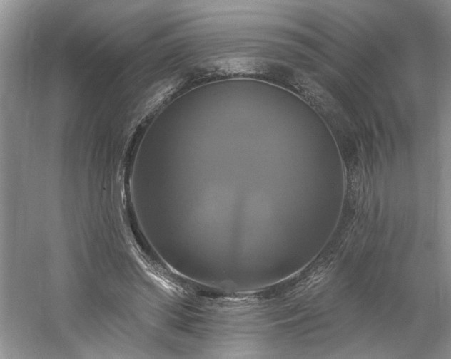 X0000061750398200512021517