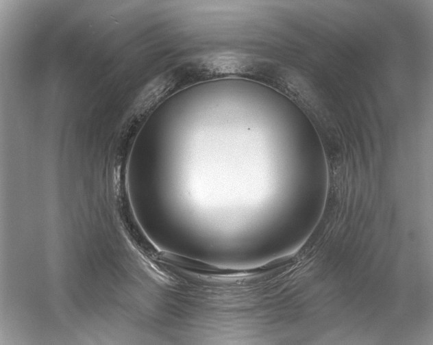 X0000061750406200512021517