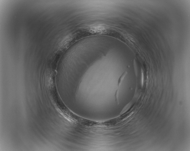 X0000061750408200512021517