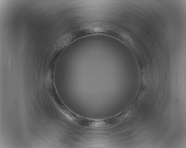 X0000061750410200512021517