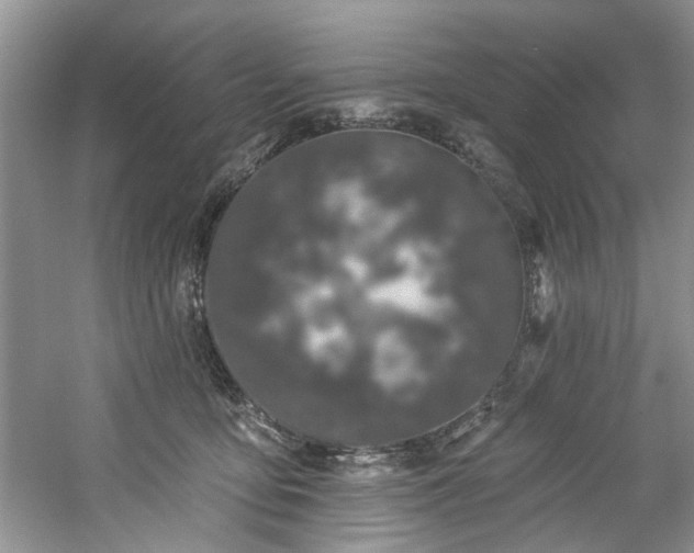 X0000061750419200512021517