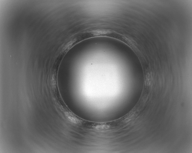 X0000061750426200512021516