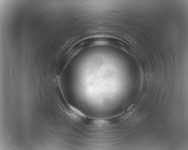 X0000061750429200512021516