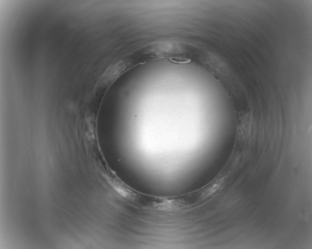 X0000061750430200512021516