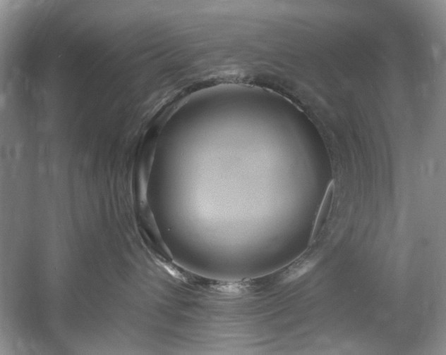 X0000061750432200512021516