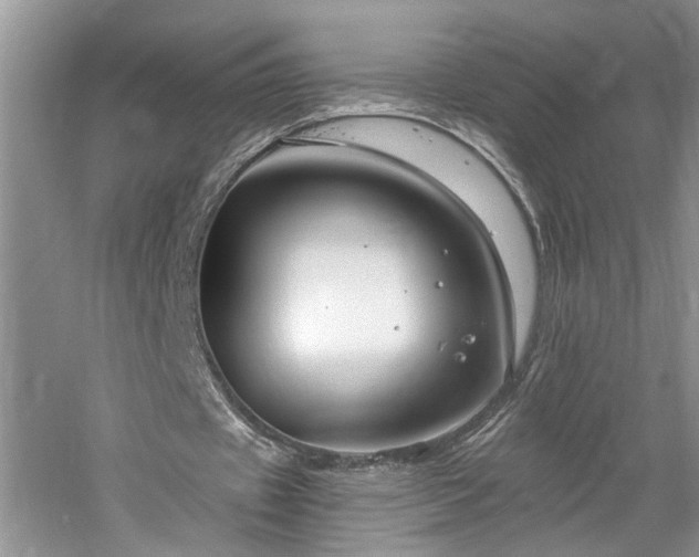 X0000061750433200512021515