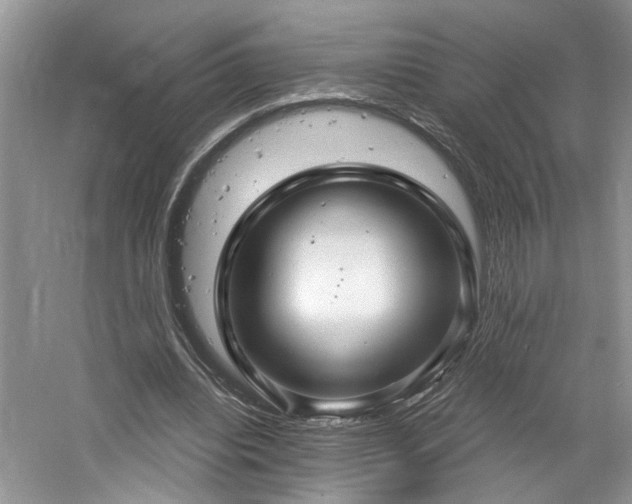X0000061750440200512021516