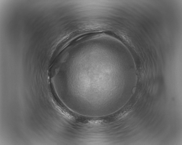 X0000061750450200512021516