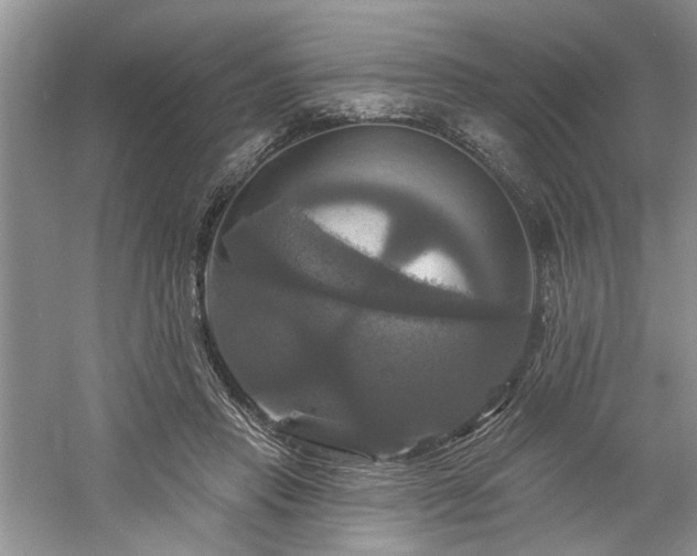 X0000061750453200512021516