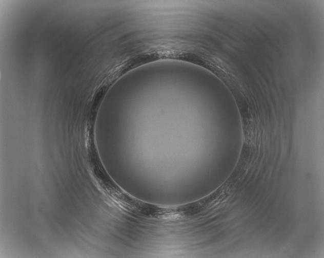 X0000061750456200512021516