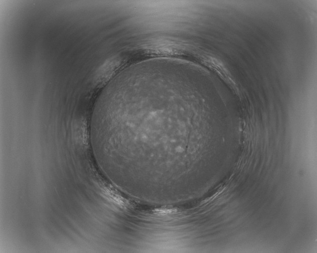 X0000061750457200512021516