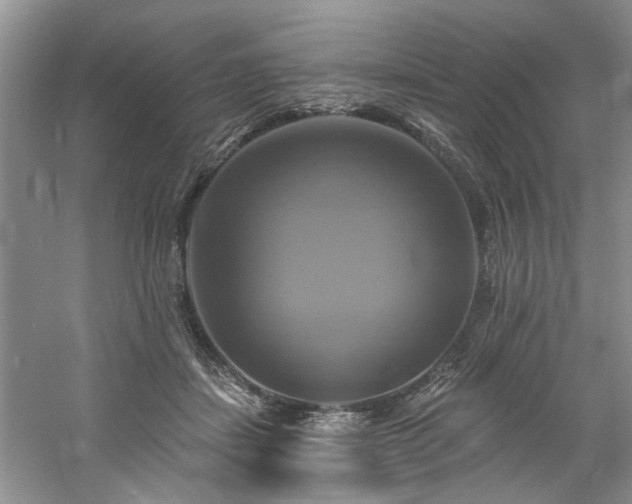 X0000061750459200512021516