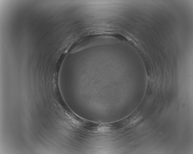 X0000061750462200512021516