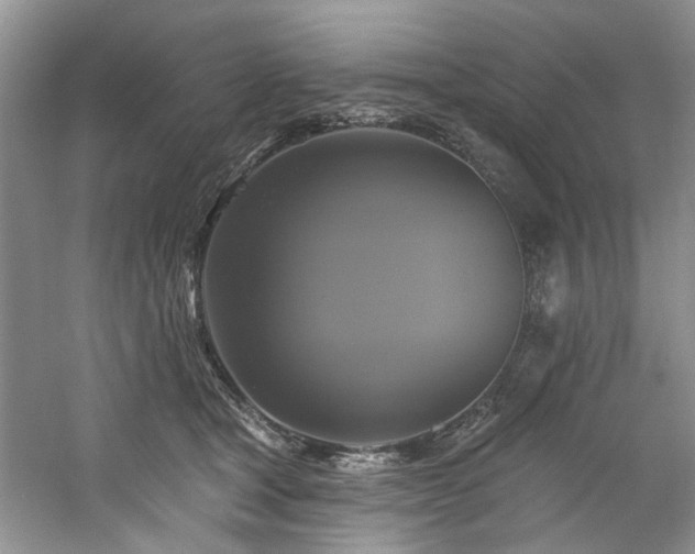 X0000061750465200512021516