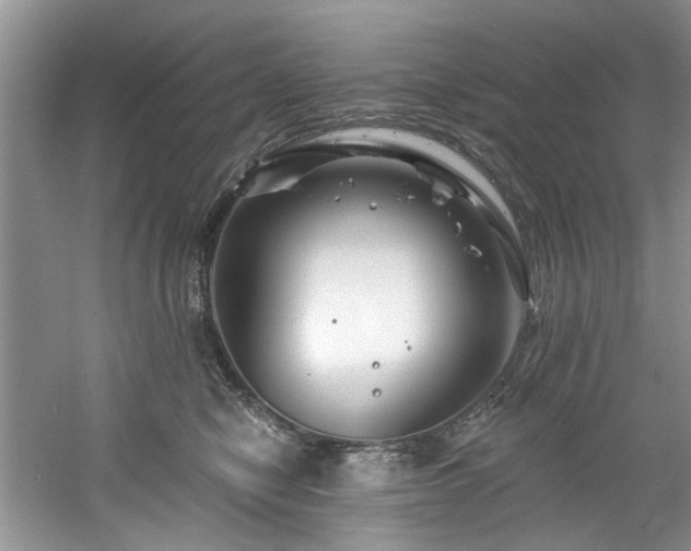 X0000061750470200512021516