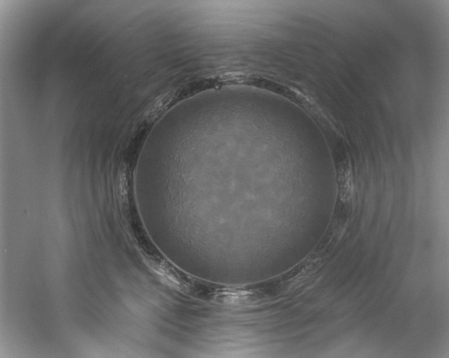 X0000061750472200512021516