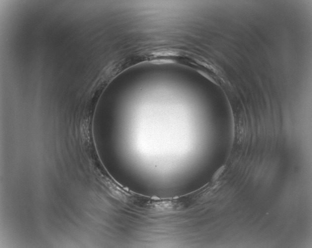 X0000061750473200512021516