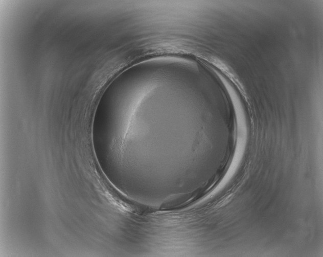 X0000061750481200512021515