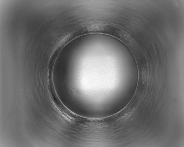 X0000061750490200512021515