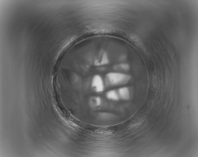 X0000061750491200512021515