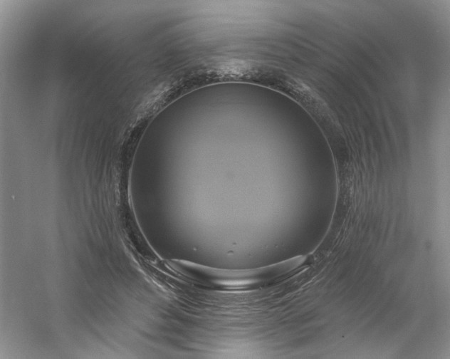 X0000061750496200512021515