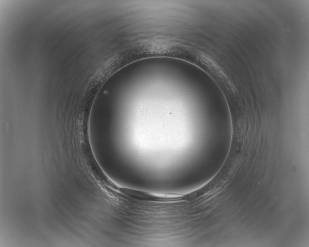 X0000061750497200512021515