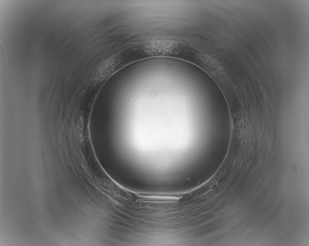 X0000061750498200512021515