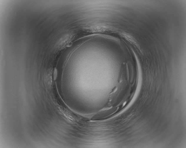 X0000061750501200512021515