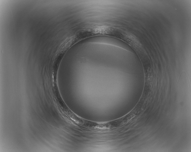 X0000061750502200512021515
