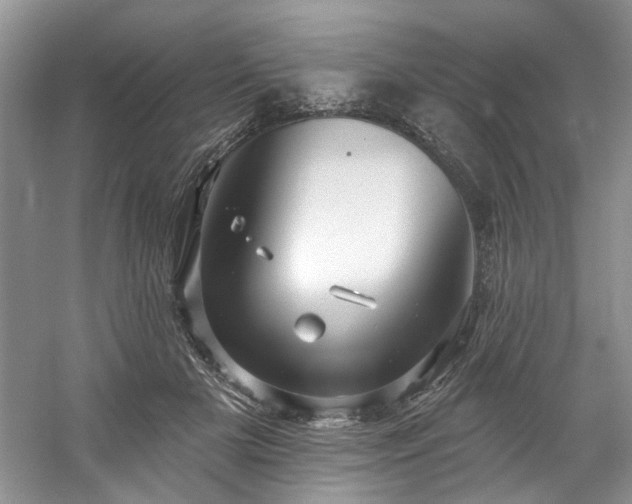 X0000061750505200512021515