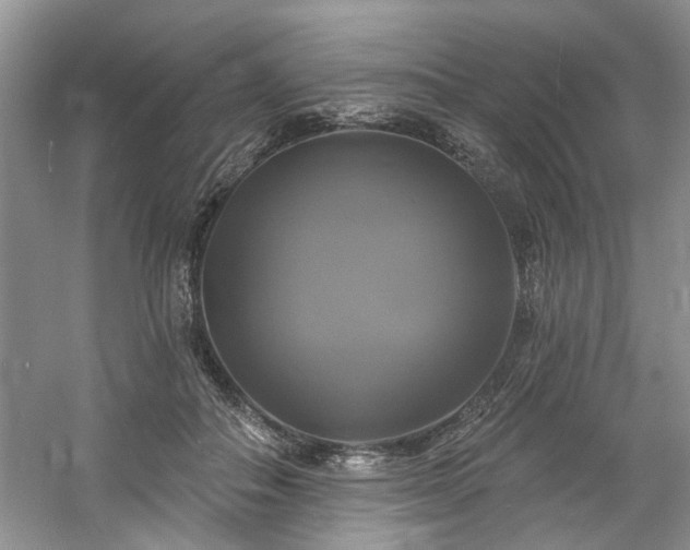X0000061750506200512021515
