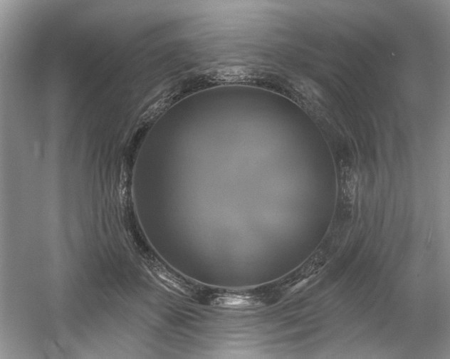X0000061750507200512021515