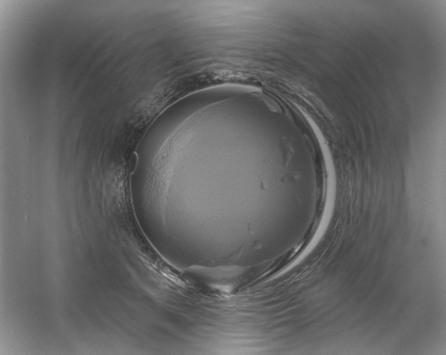 X0000061750513200512021515