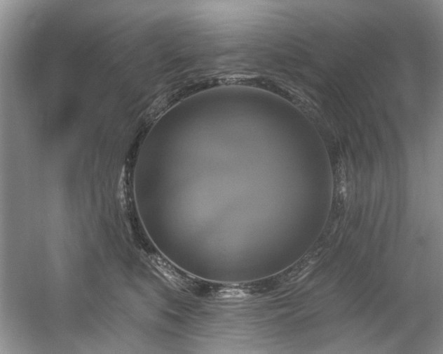 X0000061750519200512021515