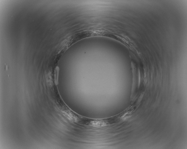 X0000061750520200512021515