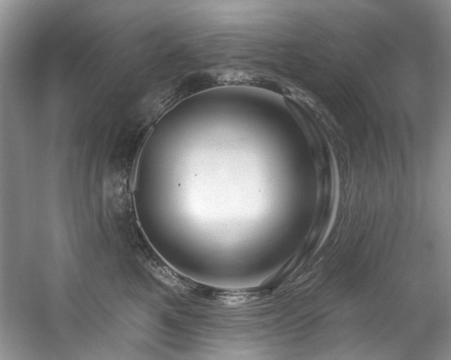 X0000061750521200512021515